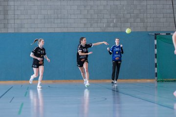 Bild 53 - Frauen OL TuS Esingen - SG Niendorf/Wandsetal : Ergebnis: 24:17